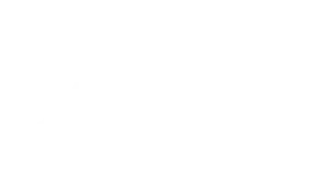 forbes copy
